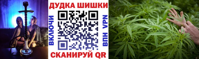 Каннабис SATIVA & INDICA  Видное 
